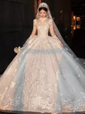 Luxury Ball Gown High Neckline Long Sleeves Lace White Wedding Dress HZ1024
