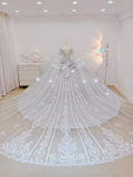 Fairytale Ball Gown Scoop Neckline Tulle Lace Long Wedding Dresses HZ1024