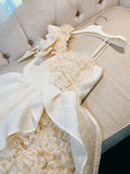 Pretty Ball Gown Straps Lace Flowers Homecoming Dresses Birthday Outfits With Bow HZ1024