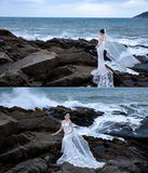 Dreamy Mermaid Sweetheart White Tulle Lace With Veil Long Wedding Dresses HZ1024