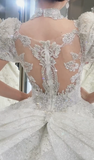 Timeles Ball Gown Square Tulle Sequin Short Sleeves Long Wedding Dresses HZ1024