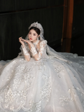 Dreamy Ball Gown Tulle Lace Applique Long Sleeves With Veil Long Wedding Dresses HZ1024