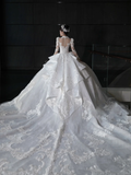 Dreamy Ball Gown Tulle Lace Applique Long Sleeves With Veil Long Wedding Dresses HZ1024