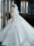Dreamy Ball Gown Off The Shoulder White Tulle Lace With Veil Long Wedding Dresses HZ1024