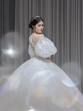 Pretty Ball Gown Tulle Lace Applique Short Sleeves Long Wedding Dresses HZ1024
