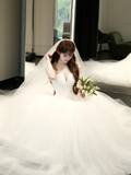 Princessful Ball Gown Strapless Satin Tulle With Veil Long Wedding Dresses HZ1024