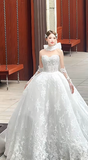Sweet Ball Gown Strapless Tulle Lace With Sleeves Veil Long Wedding Dresses HZ1024