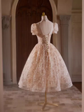 Elegant Ball Gown High Neckline Pink Tulle Party Dress Lace Homecoming Dresses HZ1024
