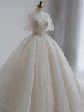Classy Ball Gown V Neck Tulle Sequin Short Sleeves Long Wedding Dresses HZ1024