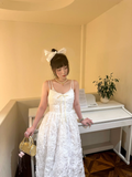 Princess A Line Spaghetti Straps Lace Long Prom Dresses Formal Dress HZ1024