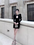 Elegant Sheath Long Sleeves Black Velvet 18th Birthday Dress Short Homecoming Dresses HZ1024