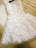 Unique A line Scoop Neckline Lace Tulle Homecoming Dress 18th Birthday Outfits HZ1024