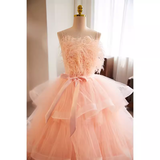 Vintage Ball Gown Straps Tulle Pink Sweet 16 Dresses HZ1024